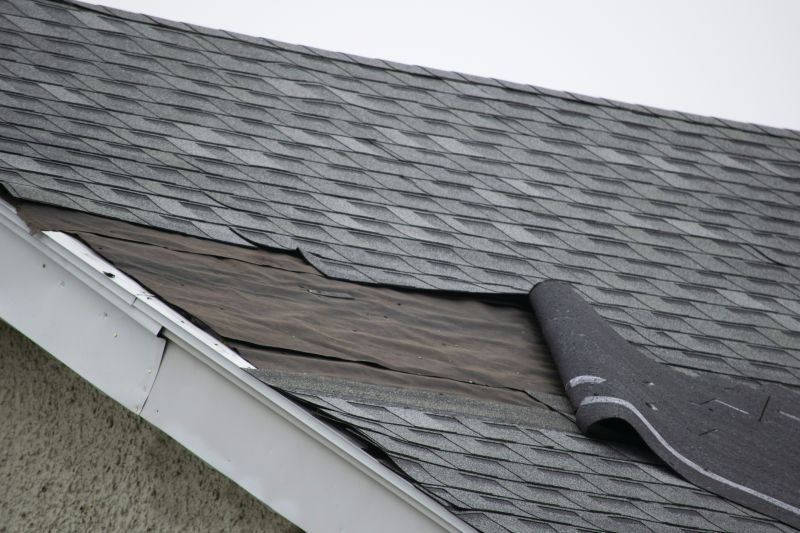 Detailed Roof Inspection