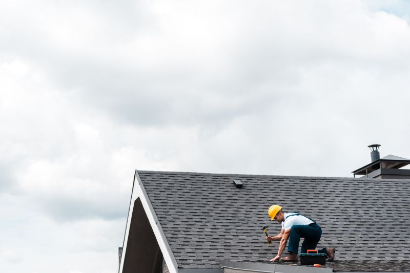 Professional Roof Repair